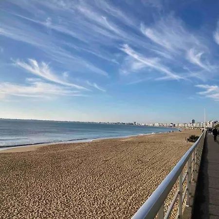 Apartment T2 Super Cosy A La Cime Des Pins Proche Av De Gaulle Place De Parking Et Wifi *