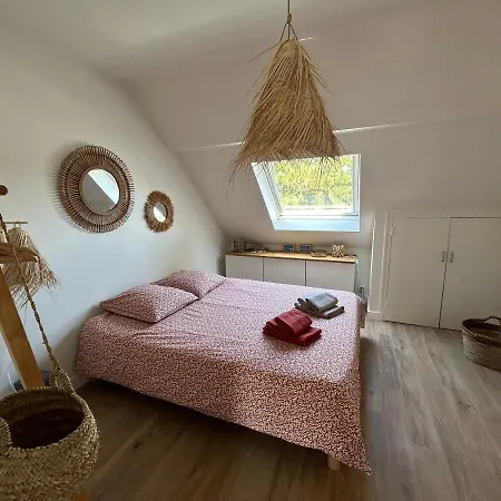 T2 Super Cosy A La Cime Des Pins Proche Av De Gaulle Place De Parking Et Wifi