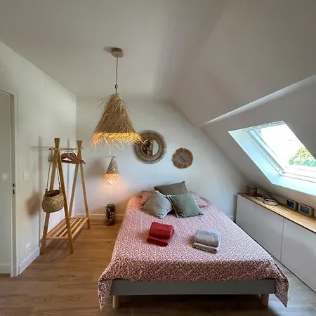 T2 Super Cosy A La Cime Des Pins Proche Av De Gaulle Place De Parking Et Wifi *