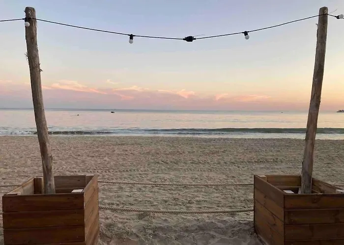 Apartment T2 Super Cosy A La Cime Des Pins Proche Av De Gaulle Place De Parking Et Wifi