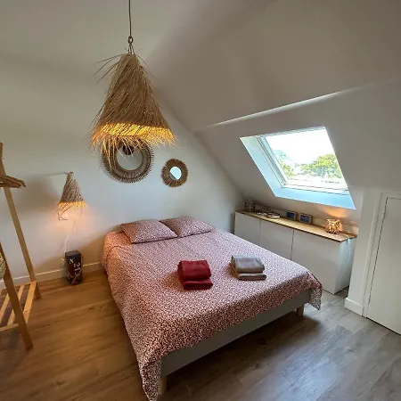 T2 Super Cosy A La Cime Des Pins Proche Av De Gaulle Place De Parking Et Wifi